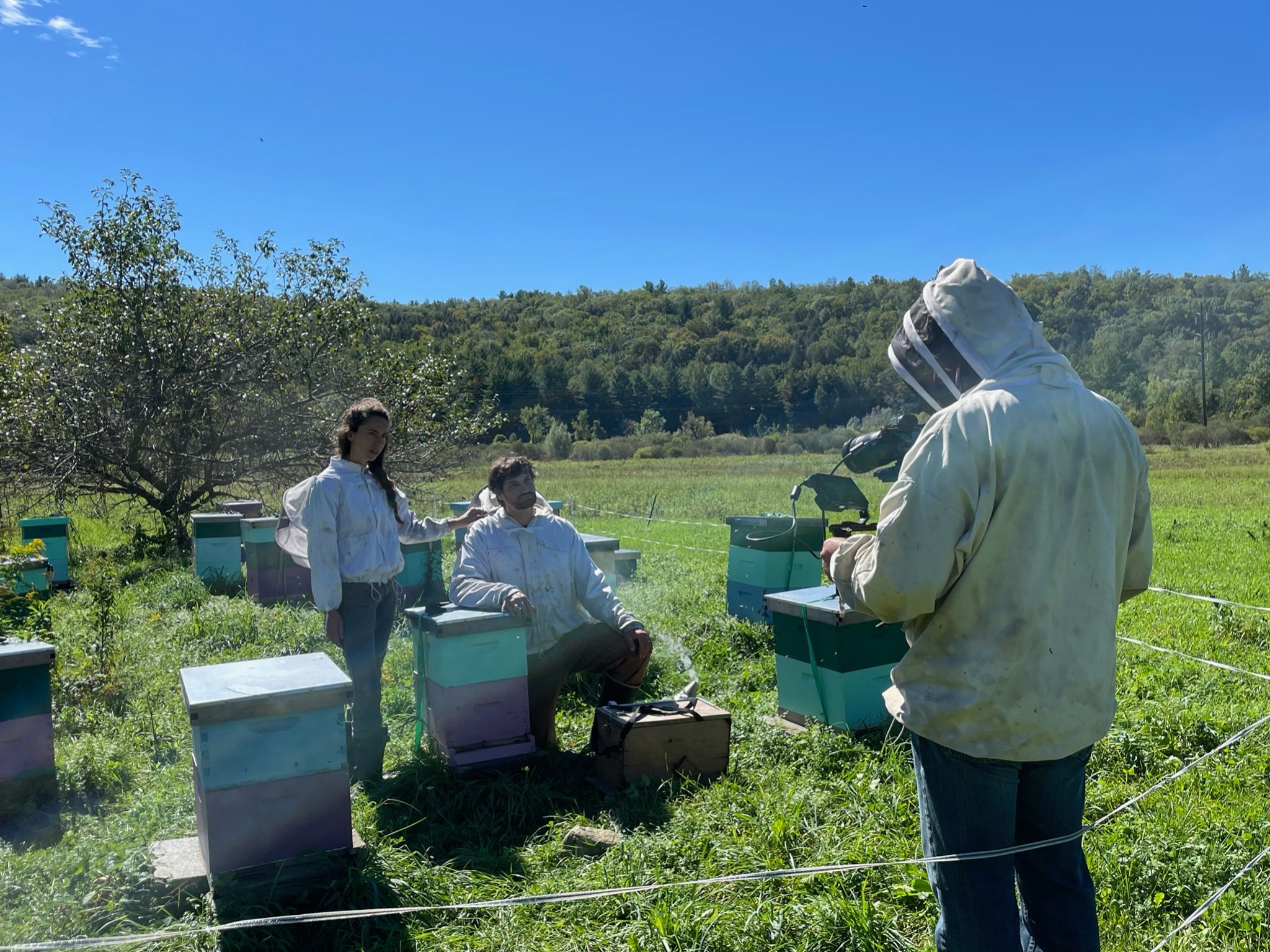 Forge bts at farm